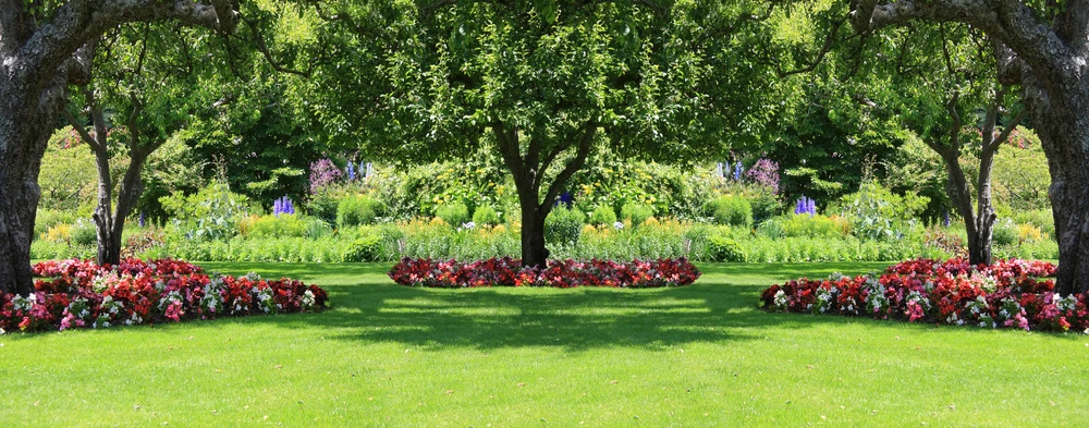 Smart Landscaping For Rain, Shade, And Active Summer Yard Use