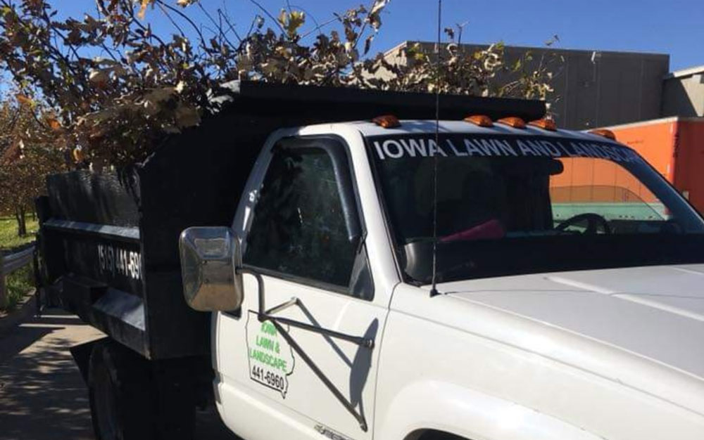 Tree Services in Des Moines, IA